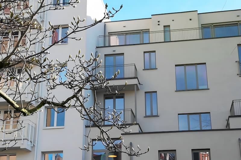 The building of the 26lights offices, in the sun, with a magnolia in bloom in front